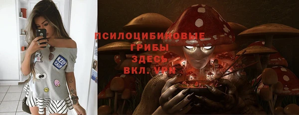 соль курить ск Ельня