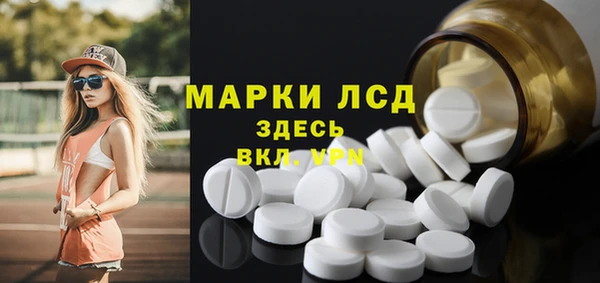 индика Заволжье