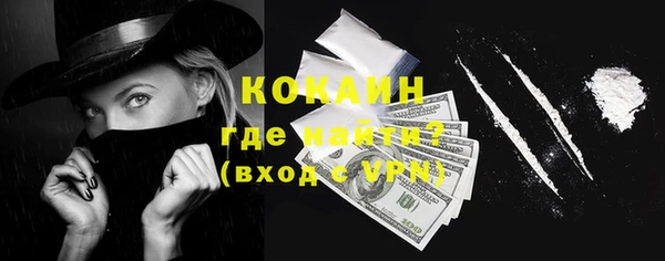индика Заволжье