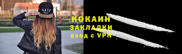 индика Заволжье
