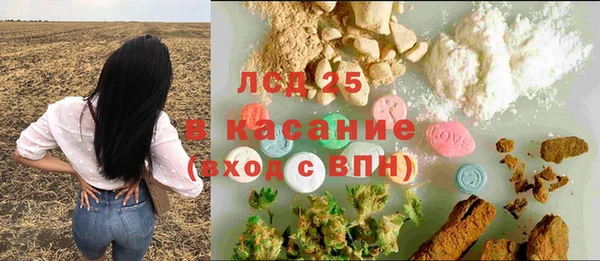 ECSTASY Елизово