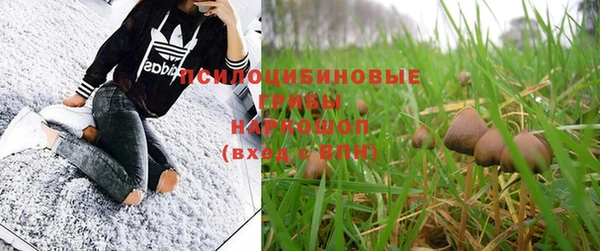 амф Куйбышев
