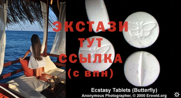 ECSTASY Елизово