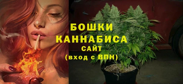 ECSTASY Елизово