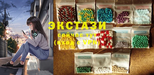ECSTASY Елизово