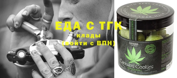 мдпв Заводоуковск