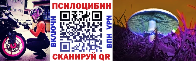 где продают наркотики  Ефремов  Псилоцибиновые грибы Cubensis 