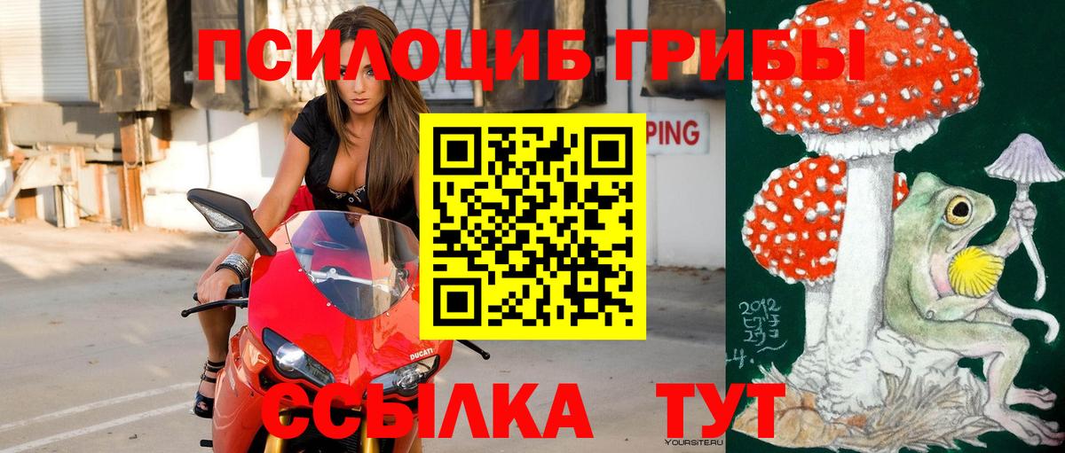 Галлюциногенные грибы Cubensis  Вход с VPN  Ефремов 